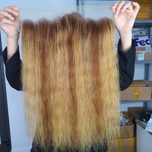 13x4 HD Transparent Swiss Lace Frontal 20 Pouces Naturel Droit Bourgogne Couleur Extensions de Cheveux Humains Mélange de Couleurs - Product Image 2