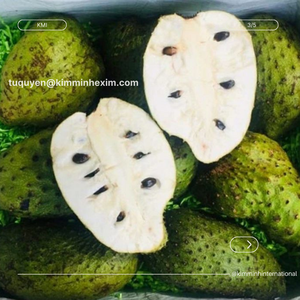 ทุเรียนเทศสดคุณภาพสูง (graviola) สำหรับการส่งออกขายส่ง - Product Image 3