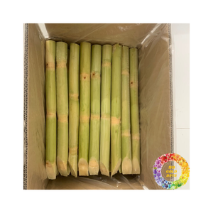 Canne à sucre sucrée congelée Clean Cut scellée sous vide pour l'exportation et un long stockage Idéal pour le jus et le service alimentaire - Product Image 6