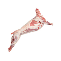 Viande de chèvre/mouton/agneau HALAL fraîche surgelée, qualité carcase, naturelle, marque personnalisée, durée de conservation 1 an, procédé IQF, Afrique du Sud