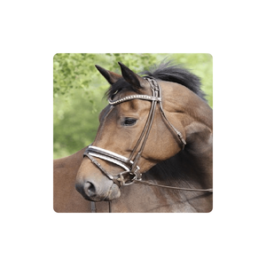 Ustom-Aro de protección para el arroz, 2022 - Product Image 1