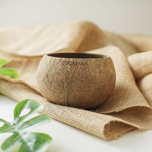 ชุดชามและช้อนกะลามะพร้าว,ชุดเครื่องใช้บนโต๊ะอาหารแบบยั่งยืนเป็นมิตรกับสิ่งแวดล้อมสลักโลโก้แบบกำหนดเอง - Product Image 2