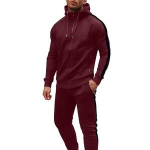 Ensemble de survêtement décontracté en molleton à capuche pour homme, imprimé uni, 2 pièces, pour la maternité - Product Image 1