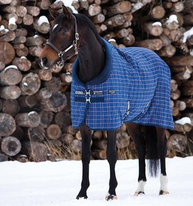 Las mejores alfombras de invierno estables On Horse, alfombras de caballo de Color personalizadas estándar para fabricante directo de fábrica - Product Image 4