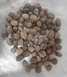 Nuez moscada sin cáscara Precio bajo Especias Maza seca Nuez moscada Nueva nuez moscada entera de gran tamaño cosechada de Sri Lanka, ABCD, ABC y preguntas frecuentes - Product Image 4