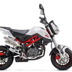 NUEVA FAV TnT Motocicletas Mini-Bike sin Escobillas de 1000-1500cc - Product Image 1