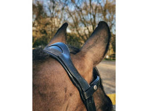 Horse Freedom Comfort Brida con Flash-Cuero Negro Tamaño Cob - Product Image 2