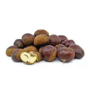 High Quality Raw Valley Fresh Chestnuts For Sale