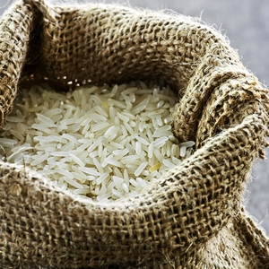 Acheter Meilleur Qualité Riz Séché Mahmood Long Blanc Basmati 1121 Propre Pack Frais En Vrac Mahmood Riz Fournisseur de Confiance - Product Image 1