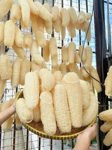 Esponja Vegetal Vietnamita Auténtica de la Granja al Spa, Libre de Químicos y Biodegradable, Ms.May - Product Image 5