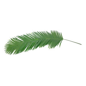 Palmera Artificial de Coco Real con Hojas de 180 cm - EUROPALMS - Product Image 1