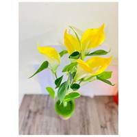 ABK IMPEX – Bouquet de 5 lys artificiels haute qualité effet naturel, en tissu, style moderne, pour mariage et décoration intérieure