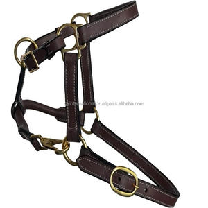 Coutures et rembourrage blancs de luxe Licou en cuir noir ou marron léger en épi complet sur les tailles au prix de gros - Product Image 2