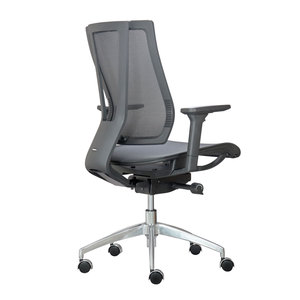 GENESIS02 Premium Office <b>Chair</b> Ergonomic Mesh Back Swivel with Aluminum Base Contemporary Lift Style for Staff for Workshops - Product Image 3
