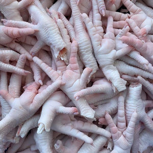 Vente en gros Pieds de poulet halal congelés nettoyés, classés, emballés et surgelés - Product Image 1
