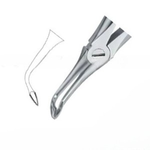 Pinzas para Extracción de Dientes Fig146, Manuales, de Acero Inoxidable de Alta Calidad, Certificación CE, Instrumentos Dentales, Venta Caliente, Logotipo Personalizado - Product Image 5