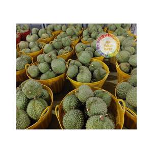 Durian congelado de alta calidad de Vietnam Venta caliente Buen precio Fruta Directo de la fuente - Product Image 2