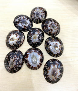 Coquilles en vrac avec couleur naturelle pour l'artisanat fait à la main et les usages domestiques traditionnels - Product Image 4