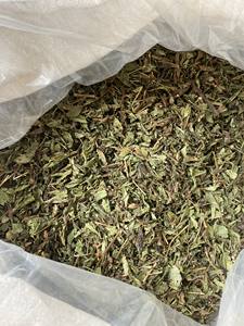 Hoja de Stevia Seca para Bebidas y Alimentos, Mezcla con Aroma Suave, Nivel de Dulzura Equilibrado, Suministro Constante para Compradores Globales - Product Image 4