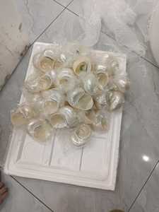 ถ้วยแก้วทรงเปลือกหอยสำหรับงานช่างบริการทำไวน์ของหวานและการนำเสนอบาร์เขตร้อน - Product Image 4