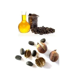 Aceite de jatropha refinado de alta calidad a granel para la producción de biodiésel y uso industrial exportador confiable con suministro global - Product Image 5