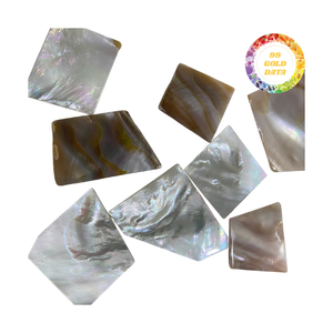 Coquilles de nacre brutes et polies-Fournies en différentes tailles et qualités pour les artisans, les usines et les négociants en exportation - Product Image 4