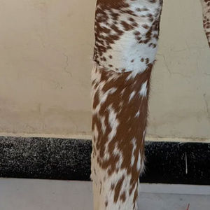 Pantalon en cuir véritable avec poils de vache, style western authentique, pantalon en fourrure de vache, imprimé cuir véritable pour hommes, pantalon en cuir avec poils de vache - Product Image 6