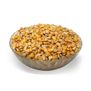 Maíz amarillo de alta calidad para proveedor de alimentos para animales | Maíz amarillo y maíz blanco