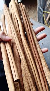 Varilla de Canela/Cassia de Yen Bai, Varilla de Canela de 35 cm - 50 cm, Calidad Premium, WS+84 865 216 698 (Sra. Lucy) - Product Image 2