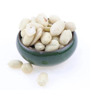 Cacahuete orgánico a granel, cacahuetes blanqueados, calidad superior, suministro al por mayor, ingrediente para hornear aperitivos saludables - Product Image 1