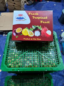 Longan vietnamita jugoso, fruta tropical fresca y dulce, venta al por mayor para mercados internacionales, calidad premium, estándar de exportación - Product Image 5