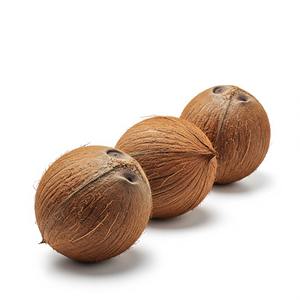 El mejor precio, cocos maduros frescos para exportación, carne gruesa de agua dulce, perfecto para supermercados minoristas y procesamiento - Product Image 4