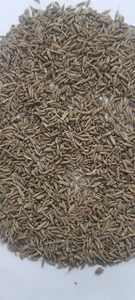Graines de cumin biologiques pures Approvisionnement agricole durable Qualité supérieure à l'exportation disponible au meilleur prix auprès de l'exportateur indien - Product Image 4