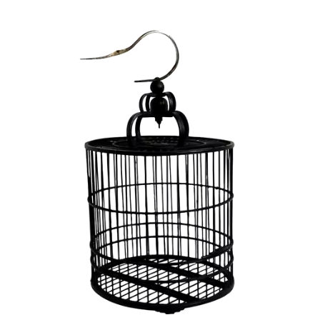 ตามที่แสดง