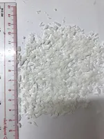 Bubuk Kelapa Kering Instan Buatan Vietnam 100% Kelapa Murni Putih Rasa Manis Bersertifikat HACCP ISO HALAL Makanan Sehat
