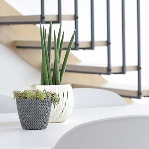 Lot de 4 pots de fleurs ronds en plastique Prosperplast Splofy 5L gris, 21,8x18,4cm + 1 lot de 6 outils de jardin GRATUIT - Product Image 3