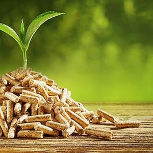 Vente en gros ENplus A1 Pellets de bois Livraison rapide Pellets fiables de haute qualité pour chauffage domestique ou industriel - Product Image 3