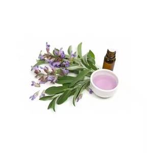 Huile de support d'huile essentielle de sauge biologique pure de haute qualité à 100% à bas prix - Product Image 6