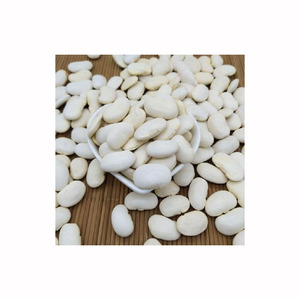 Frijoles Blancos de Primera Calidad, Naturales, al por Mayor, para Exportación, Frijoles Blancos Grandes de Alta Calidad - Product Image 1