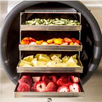 Multifunctionele Vriesdrogermachine Automatische Roestvrijstalen Huishoudelijke Lyofilisator HFD-4/Hfd6 Voor Fruitgroentesap