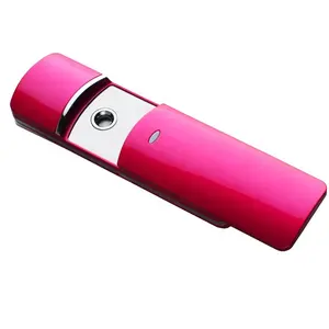 ZLIME Factory Sale USB Rechargeable Portable Nano Spray Beauty Instrument Mini Facial Spray Nano Portable Facial Mist Spray