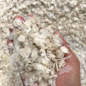 Venta caliente escamas de pescado seco mejor precio escamas de pescado seco para la producción de colágeno de los principales proveedores de Vietnam - Product Image 5