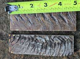 Escala de cuerno de oveja y carnero de tamaño personalizado para cuchillo y placa de mango de Marco estilo Animal de gran tamaño Precio de técnica cruda - Product Image 2