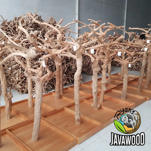 Fabricant de tiges de perchoir personnalisées en bois massif avec tiges de bâton à griffes pour perroquets de compagnie Meilleure qualité au meilleur prix - Product Image 4