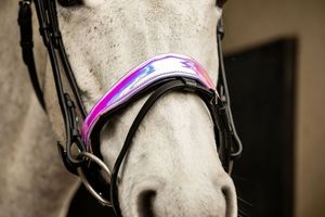 Nueva Brida Anatómica Negra Equipride con Acabado Metálico Patentado y Riendas Antideslizantes de Cuero Holográfico - Product Image 4