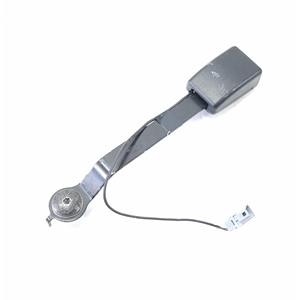 Gancho del Cinturón de Seguridad Delantero Derecho Renault Clio Serie IV 878177659R (12>19) - Product Image 1