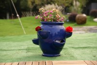 Pot en terre cuite émaillée pour fraises avec trou de drainage pour jardin d'intérieur/extérieur