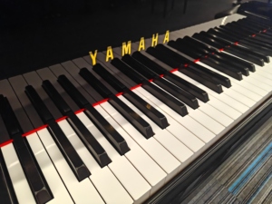 Piano à queue Yamaha G5E d'occasion en excellent état, livraison rapide, finition élégante d'origine, touches lisses, fabriqué au Japon G5 - Product Image 2