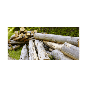 Bois de chauffage en hêtre, approvisionnement en gros, livraison rapide, qualité supérieure, prêt à l'exportation - Product Image 4