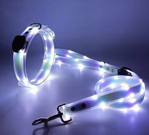 Collier et laisse pour animaux de compagnie personnalisés, réfléchissants et lumineux à LED, rechargeables par USB, sécurité nocturne pour chats et chiens - Product Image 4